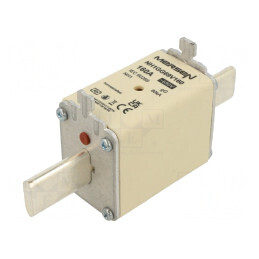 Siguranță NH1 gG 160A 690VAC 400VDC | Electronic-mag.ro | Componente Electronice