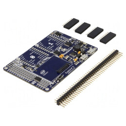 Adaptor USB B Micro x2 3.3-5VDC | Electronic-mag.ro | Componente Electronice