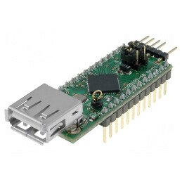 Modul USB DIP24 cu Ieşire 3,3VDC/200mA | Electronic-mag.ro | Componente Electronice