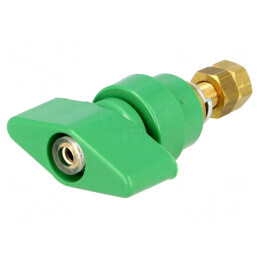 Clemă de laborator verde 1kVDC 100A pe panou | Electronic-mag.ro | Componente Electronice