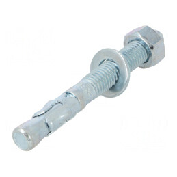 Bolt Anchor 12mm x 100mm FWA - Pack of 25 | Electronic-mag.ro | Componente Electronice