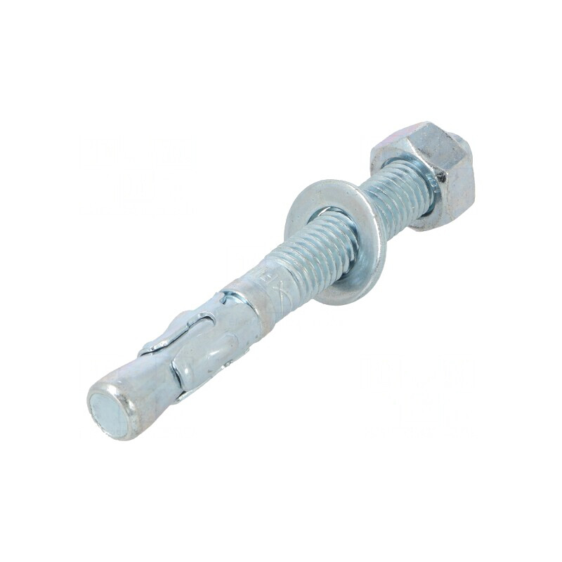 Bolt Anchor 12mm x 100mm FWA - Pack of 25 | Electronic-mag.ro | Componente Electronice