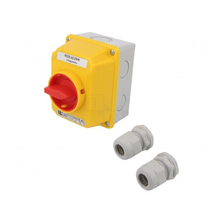 Comutator cu Came IP65 3 Poli 16A pentru Perete | Electronic-mag.ro | Componente Electronice