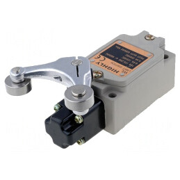 Limitator Cursă Manetă R 38mm Cu Rolă Metalică Dublă Ø17,5mm WL-5105 | Electronic-mag.ro | Componente Electronice