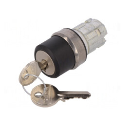 Comutator Rotativ cu Cheie 22mm Argintiu | Electronic-mag.ro | Componente Electronice