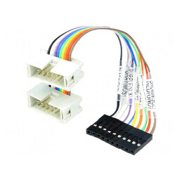Cablu Conectare IDC10 127mm 10-PIN