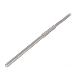 Senzor de Temperatură Pt100 100Ω Ø6x100mm | Electronic-mag.ro | Componente Electronice
