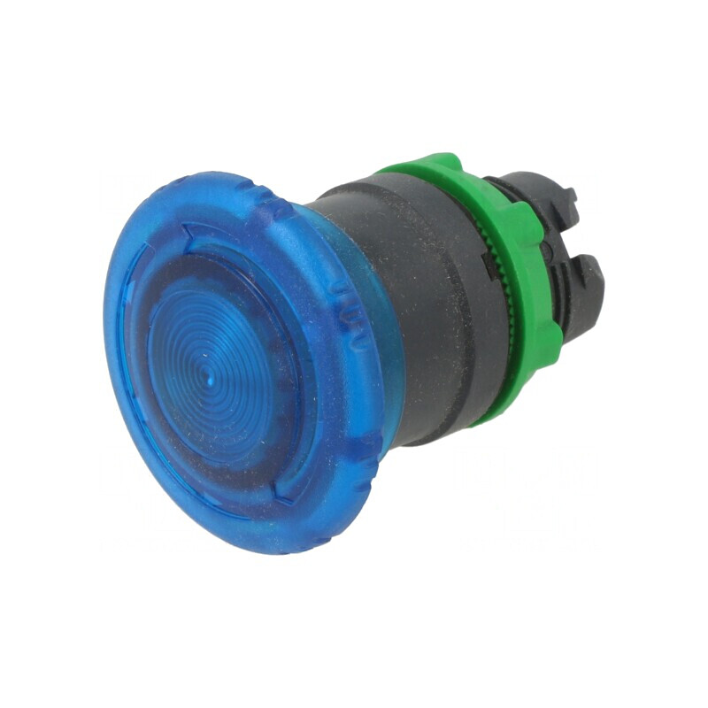 Comutator de Apăsare 22mm Albastru 2 Puncte ZB5AW763 | Electronic-mag.ro | Componente Electronice