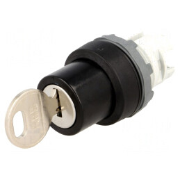 Comutator Rotativ cu Cheie 22mm Negru 2 Poziții | Electronic-mag.ro | Componente Electronice