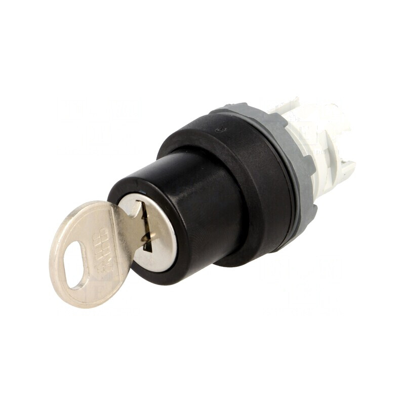 Comutator Rotativ cu Cheie 22mm Negru 2 Poziții | Electronic-mag.ro | Componente Electronice