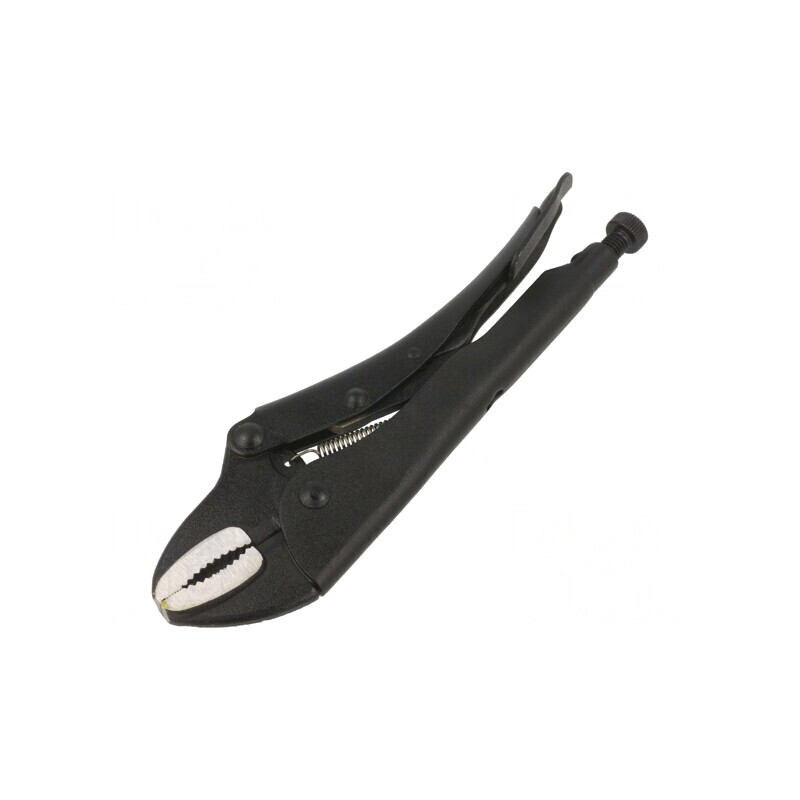 Clește de Strângere 250mm | Electronic-mag.ro | Componente Electronice