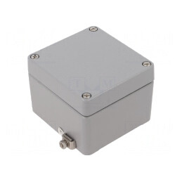 Carcasă Universală Aluminiu Gri ATEX 75x80x57mm EX RJ05 | Electronic-mag.ro | Componente Electronice
