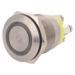 Comutator Anti-Vandalism 2 Poz SPST-NO 0,05A 24VDC IP66 | Electronic-mag.ro | Componente Electronice
