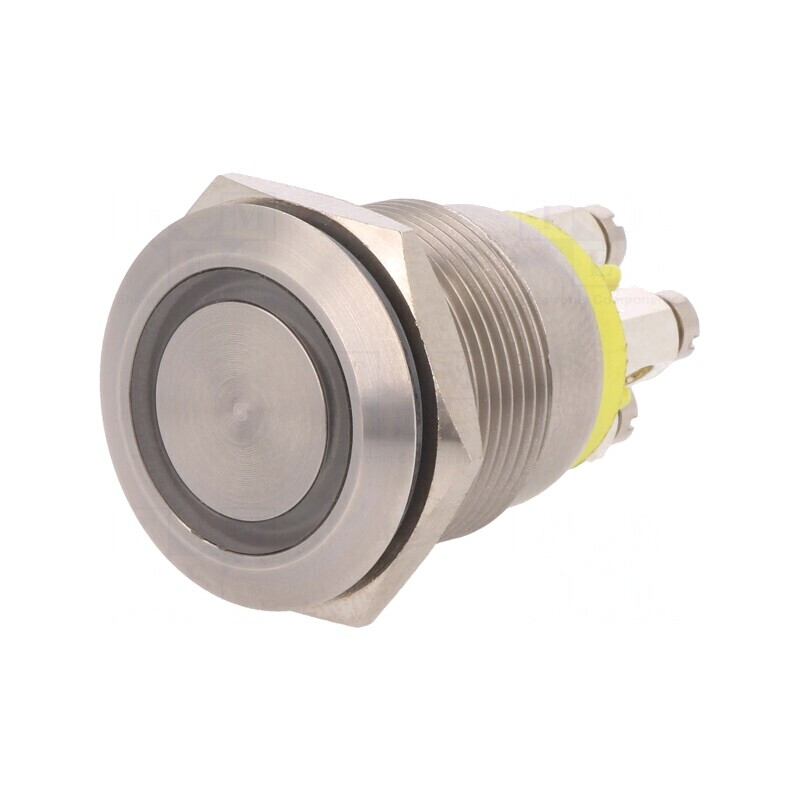 Comutator Anti-Vandalism 2 Poz SPST-NO 0,05A 24VDC IP66 | Electronic-mag.ro | Componente Electronice