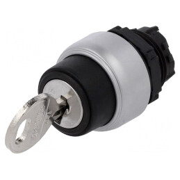 Comutator Rotativ cu Cheie 22mm 2 Poziții Negru | Electronic-mag.ro | Componente Electronice