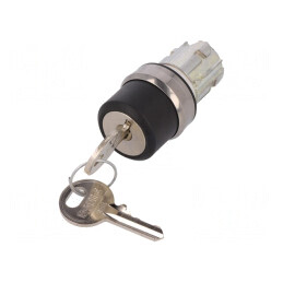 Comutator rotativ cu cheie 22mm argintiu | Electronic-mag.ro | Componente Electronice