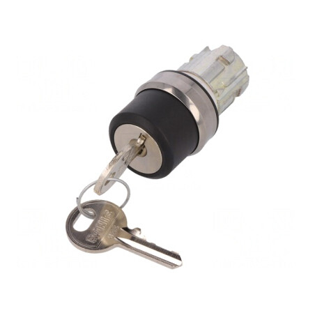 Comutator rotativ cu cheie 22mm argintiu | Electronic-mag.ro | Componente Electronice