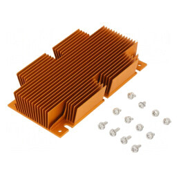 Radiator extrudat cu aripioare BGA, auriu, 117mm x 61mm | Electronic-mag.ro | Componente Electronice