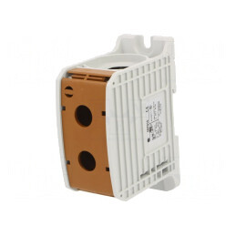 Conector de Șine 300mm2 1 Pista 2 Borne Maro | Electronic-mag.ro | Componente Electronice