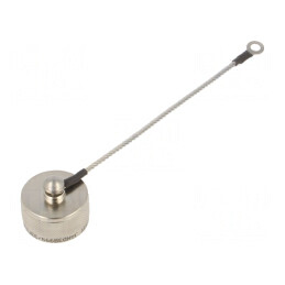 Capac Protecție Argintiu 13 inch | Electronic-mag.ro | Componente Electronice