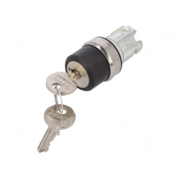 Comutator Rotativ cu Cheie 22mm Argintiu | Electronic-mag.ro | Componente Electronice