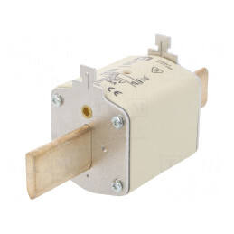 Siguranță ardere rapidă 315A 500VAC NH2 WT-NH | Electronic-mag.ro | Componente Electronice