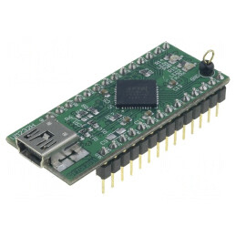 Module USB FIFO MPSSE UART DIP28 USB B mini | Electronic-mag.ro | Componente Electronice