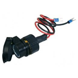 Adaptor Soclu Brichetă Auto 10A | Electronic-mag.ro | Componente Electronice