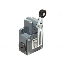 Limitator Cursă NO NC 10A 500VAC 250VDC PG13.5 FL 535 | Electronic-mag.ro | Componente Electronice