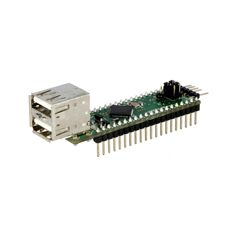 Modul USB DIP40 cu 2 Porturi USB A, 5VDC | Electronic-mag.ro | Componente Electronice Modul USB DIP40 cu 2 Porturi USB A, 5VDC | Electronic-mag.ro | Componente Electronice