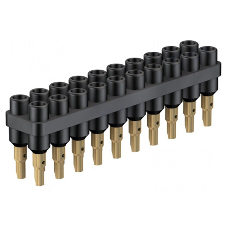 Bloc Multipriză Neagră 2mm 70VDC 10A 20 Prize | Electronic-mag.ro | Componente Electronice
