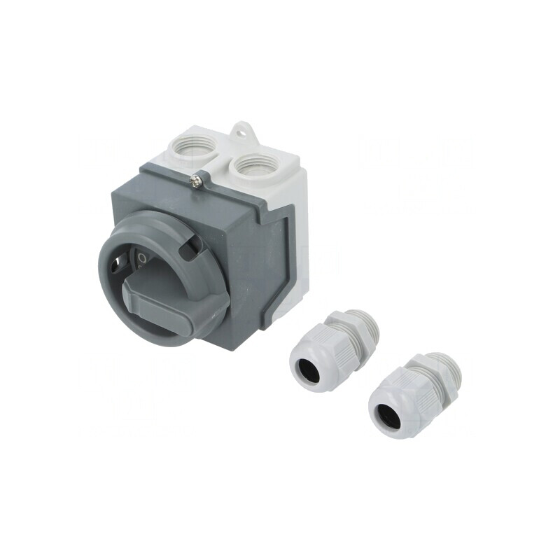 Comutator cu Came 20A 2 Poziții 4 Poli în Carcasă | Electronic-mag.ro | Componente Electronice