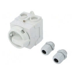 Comutator cu came 20A 4 Poli | Electronic-mag.ro | Componente Electronice