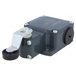 Limitator cursă manetă 40mm cu rolă plastic 20mm 10A FL 551 | Electronic-mag.ro | Componente Electronice