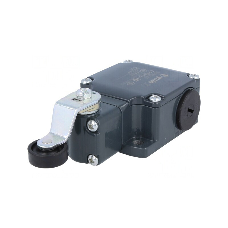 Limitator cursă manetă 40mm cu rolă plastic 20mm 10A FL 551 | Electronic-mag.ro | Componente Electronice