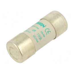 Siguranță ceramică 100A 500VAC 22x58mm | Electronic-mag.ro | Componente Electronice