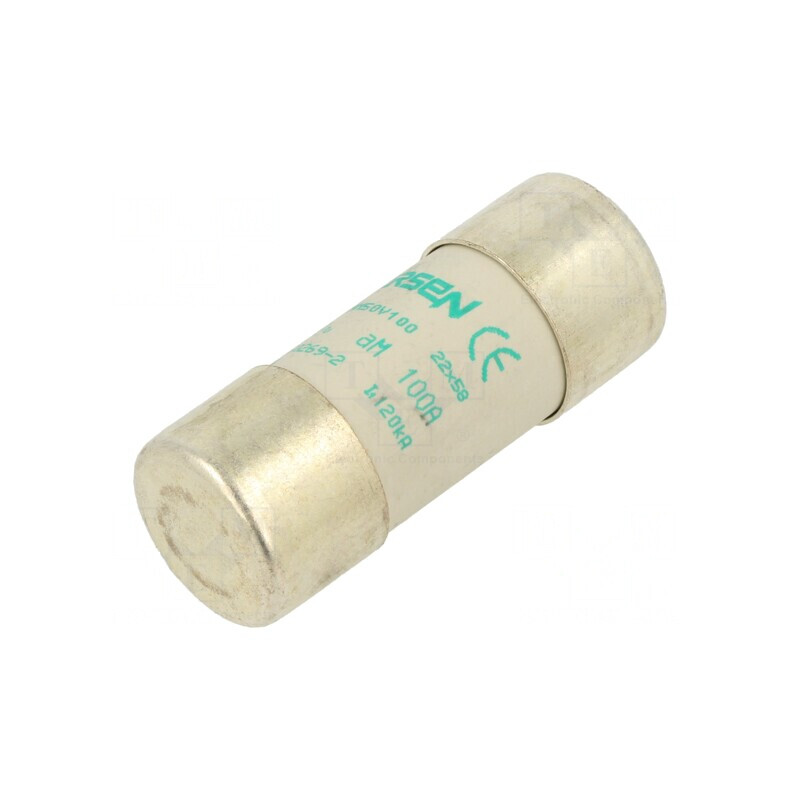 Siguranță ceramică 100A 500VAC 22x58mm | Electronic-mag.ro | Componente Electronice