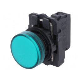 Lumină de Control 22mm Harmony XB5 25÷70°C | Electronic-mag.ro | Componente Electronice