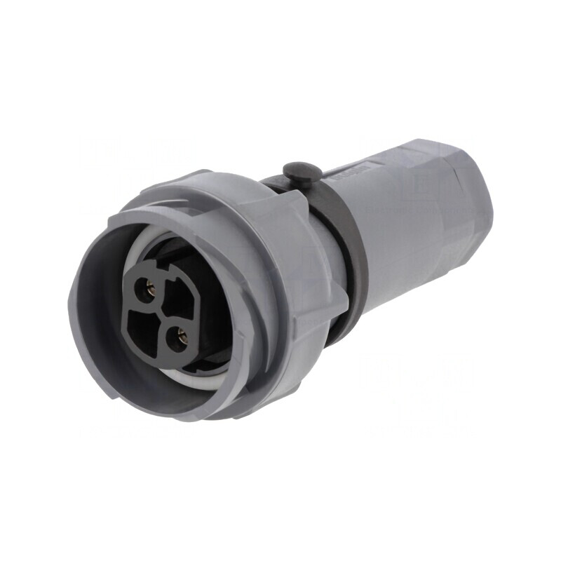 Mufă Circulară Mamă 2 PIN Buccaneer 7000 Nichelată | Electronic-mag.ro | Componente Electronice Mufă Circulară Mamă 2 PIN Buccaneer 7000 Nichelată | Electronic-mag.ro | Componente Electronice