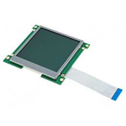 Ecran LCD Grafic 160x160 LED | Electronic-mag.ro | Componente Electronice