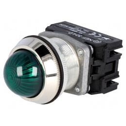 Lumină de control LED 30mm IP20 NEF30 | Electronic-mag.ro | Componente Electronice