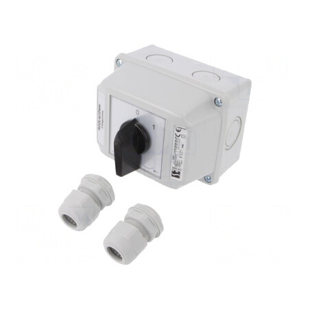 Comutator cu Came 16A 2 Posiții IP65 pentru Perete | Electronic-mag.ro | Componente Electronice
