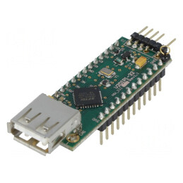 Modul USB DIP24 cu Ieşire de alimentare 3.3V 200mA | Electronic-mag.ro | Componente Electronice