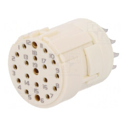 Conector M23 19-PIN Mamă Lipire | Electronic-mag.ro | Componente Electronice