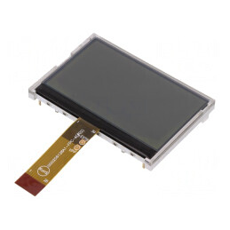 Afişaj LCD Grafic 256x128 FSTN 80x54mm 2,9 LED | Electronic-mag.ro | Componente Electronice