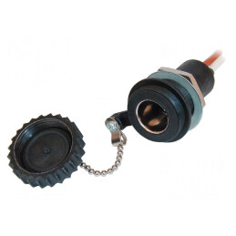Adaptor Soclu Brichetă Auto 16A | Electronic-mag.ro | Componente Electronice