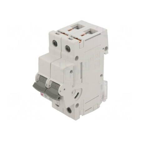 Întrerupător de supracurent 6A 2 Poli 230/400VAC 10kA | Electronic-mag.ro | Componente Electronice