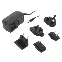 Alimentator Pulsatoriu 24V DC 1A 24W 5.5/2.1 | Electronic-mag.ro | Componente Electronice