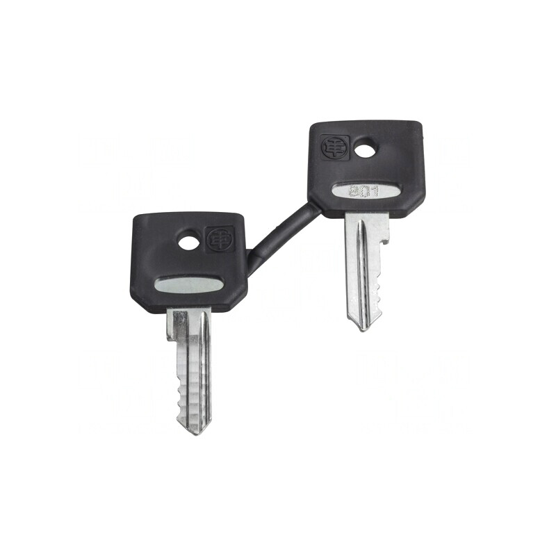 Cheie 22mm Harmony XB4 - Set 2 Bucăți | Electronic-mag.ro | Componente Electronice