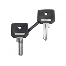 Cheie 22mm Harmony XB4 - Set 2 Bucăți | Electronic-mag.ro | Componente Electronice